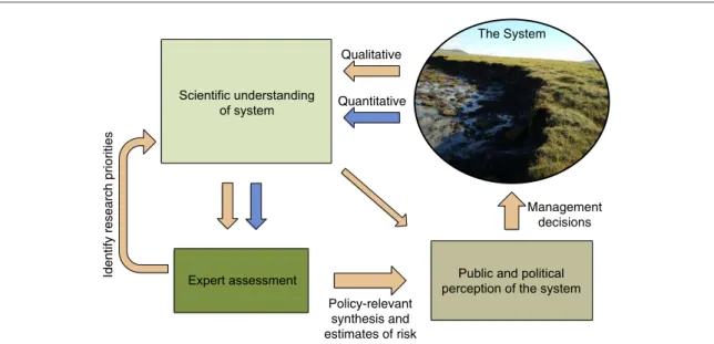 Figure 1. Conceptual model of the role of expert assessment in generating and communicating scienti ﬁc understanding
