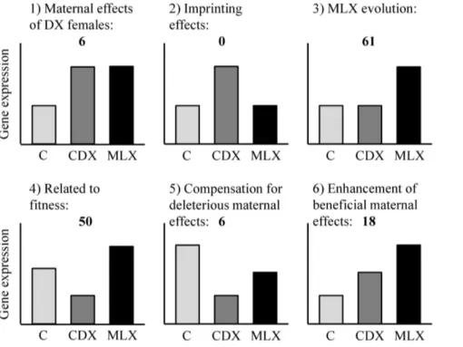 Figure 3. Fitness differences between the treatments. MLX males have higher fitness than CDX males (i.e