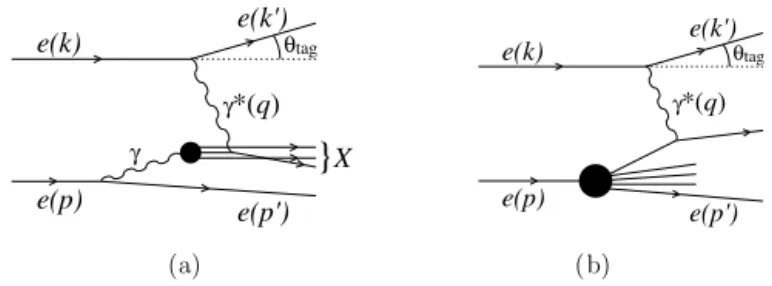 Fig. 1. Deep inelastic scattering (DIS) on a photon target (a), and on an electron target (b); p , p  , k and k  denote the corresponding four-momenta and q is the  four-momentum of the exchanged photon.