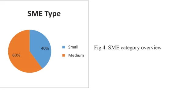 Fig 4. SME category overview 