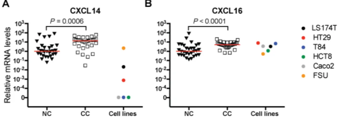 Figure 1. Relative mRNA levels of CXCL14 (A) and CXCL16 (B) in primary colon cancer tissues (CC) compared  to adjacent normal colon margins (NC)