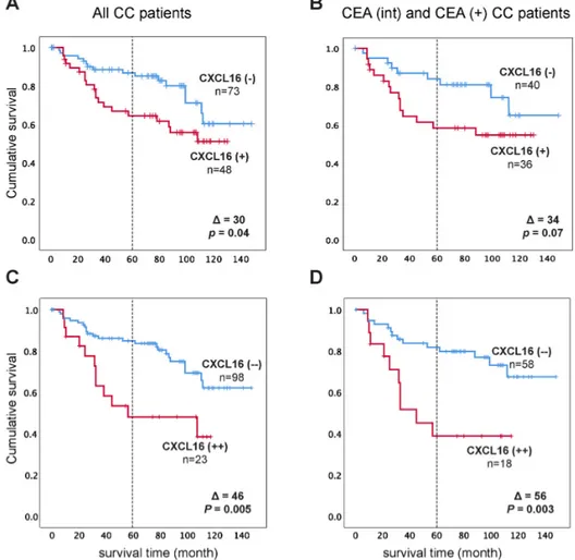 Figure 4. (A,B) Kaplan–Meier cumulative survival curves for CC patients divided into two groups CXCL16(−)  and CXCL16(+) according to the median of mRNA expression in the highest lymph nodes in the CC patients in  TNM stages III and IV (7.2 mRNA copies/ 18