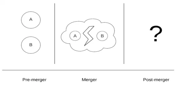 Figure 3. Proposed framework of the post-merger organizational identification process 
