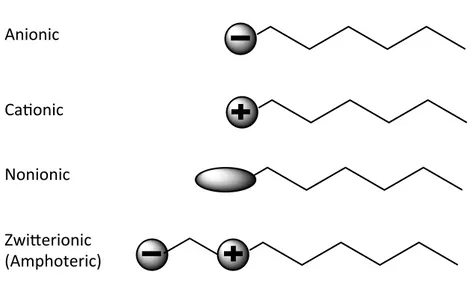 Figure 3 – General structure of the different surfactant types  