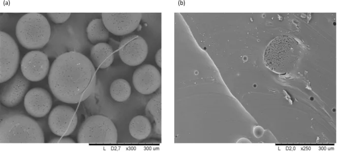 Figure 8 - SEM-images of microspheres produced with 7.5 w/v% CD, 50 w/w% ES, 0.1 v/v% E1/E2 (70/30%) and Rushton  impeller at 700 rpm