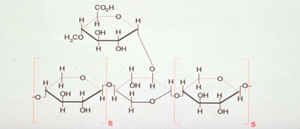 Figure 9: Hemi cellulose structure      