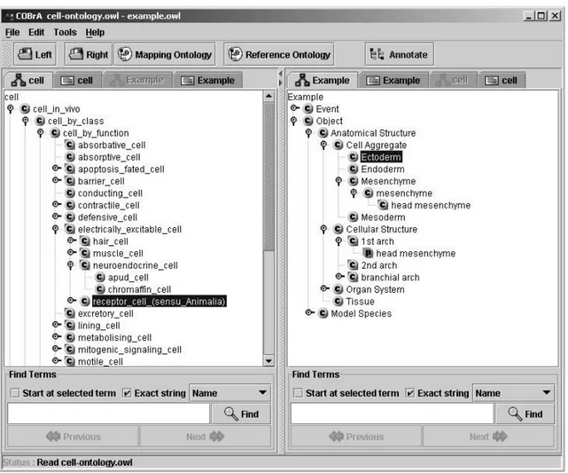 Figure 5. The user interface of COBrA 