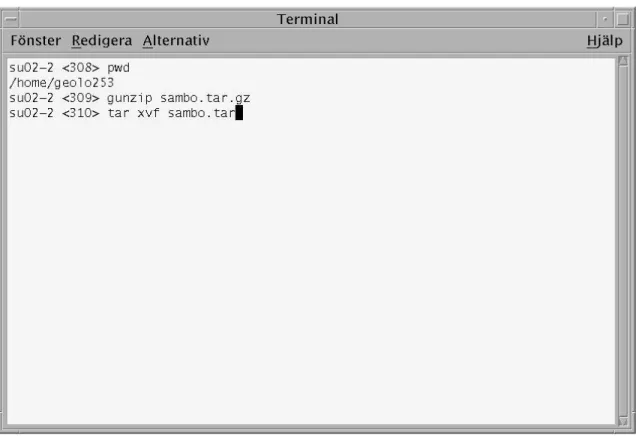 Figure 10. The terminal where the two commands are typed in 