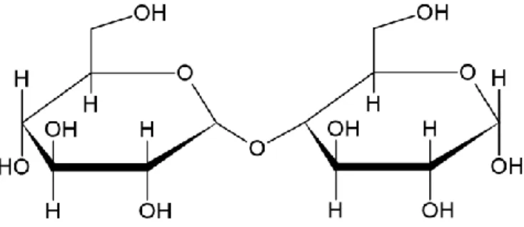 Figure 1. AGU of cellulose. 