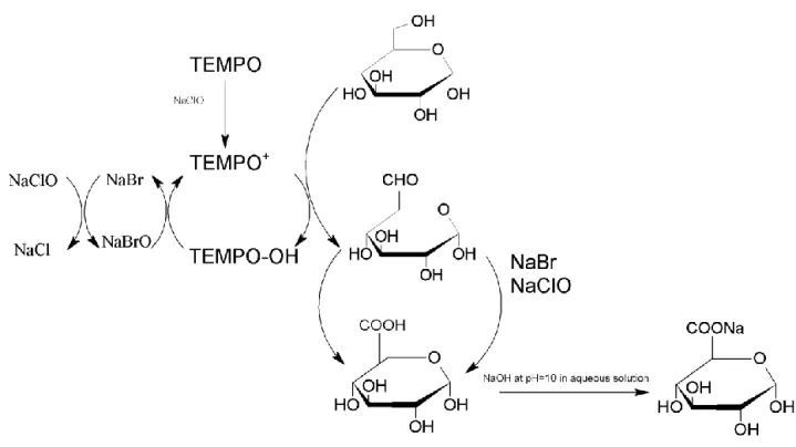 Figure 2. TEMPO-mediated oxidation of -OH at C6. 