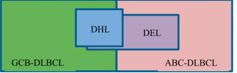 Figure 3. The distribution of DHL and DEL in GCB and ABC subtypes of DLBCL.  