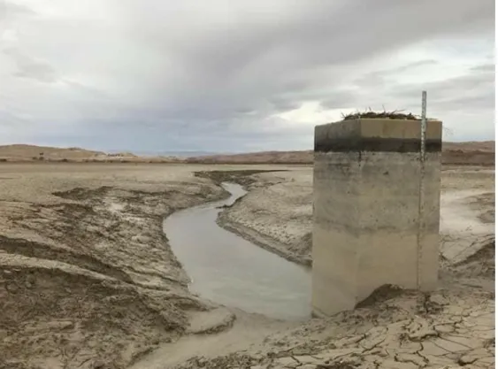 Figure 2: General view of Mandaly Dam Reservoir filled with sediments. 