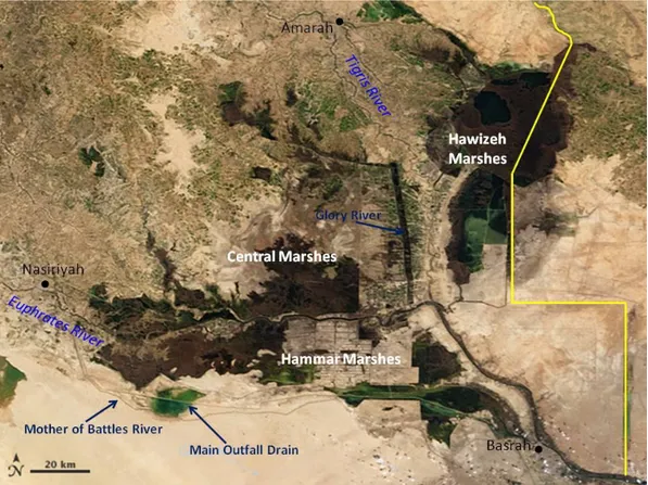 Figure 7: Satellite view of Southern Marshes. (Source: [22]). 