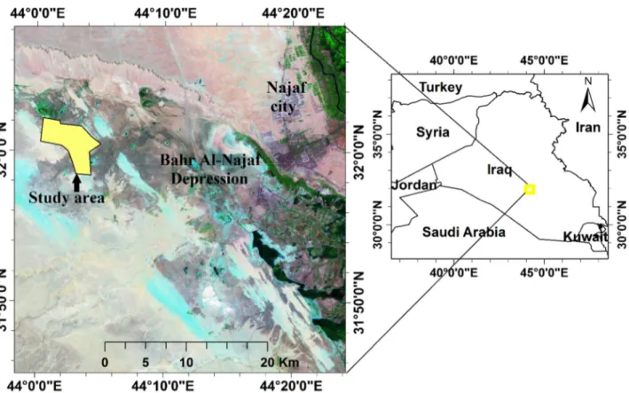 Fig. 1: The location of Fadaq plantation (study area) within Bahr Al-Najaf depression