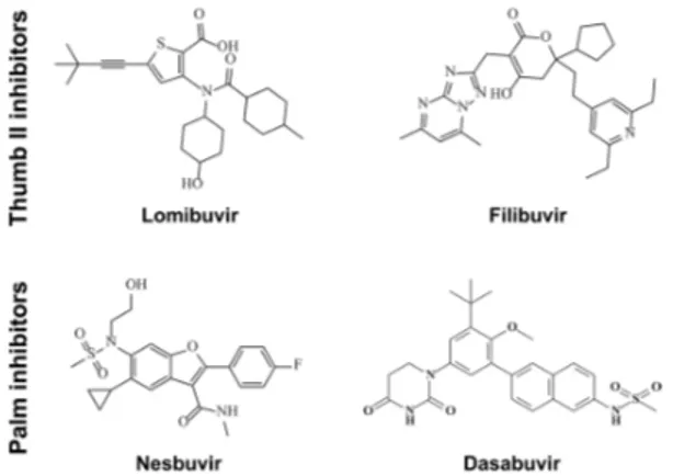 Figure 1. Structures of studied non-nucleoside thumb II and palm inhibitors. 