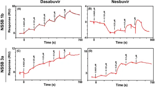 Figure 5. Interaction of dasabuvir with an NS5B 1b Con1 sensor surface (A). A two-fold dilution  series, ranging from 1 to 0.0625 µM, was injected in order of increasing concentration
