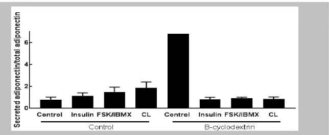 Figure  5. The  figure  shows  adiponectin  secretion  from  human  cells.  The  graphs  shows  adiponectin secretion stimulated with insulin, FSK/IBMX and CL in two different groups