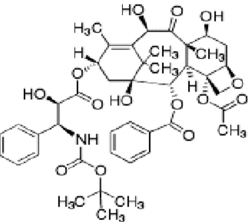 Figur 3. Figuren visar den kemiska bilden av docetaxel [23]. 