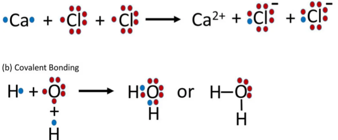 Figure 2.1: In the Lewis Model, (a) ionic bonding of a molecule consists of donating electrons and (b) covalent bonding of a molecule consists of sharing electrons.