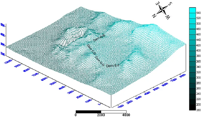 Figure 1: 3D topographical setup of the tailings storage facility dam site 