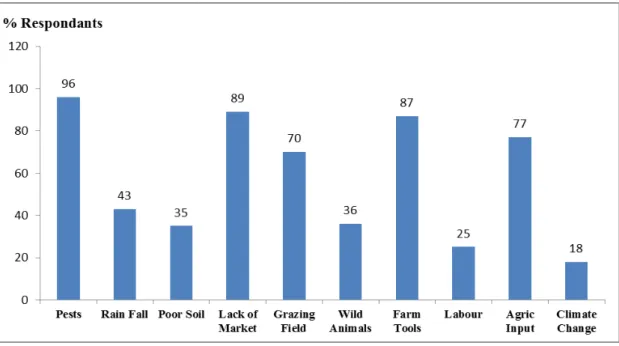 Figure 2: Problems encountered by the farmers in River Nyando catchments area 