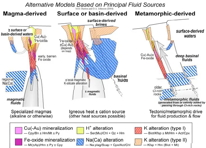 Figure  2:  Conceptual  illustration  of  flow  paths  and  hydrothermal  features  for  alternative  models for IOCG deposits (Barton, M.D