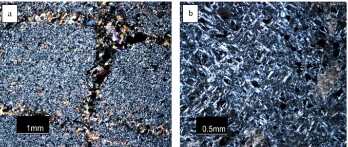 Fig  12:  Concentration  of  porphyroblast  along  and  within  graphite  dissemination  in  two  characteristic  direction,  b)  Photomicrographs  of  serpentine  with  characteristic  mesh  texture
