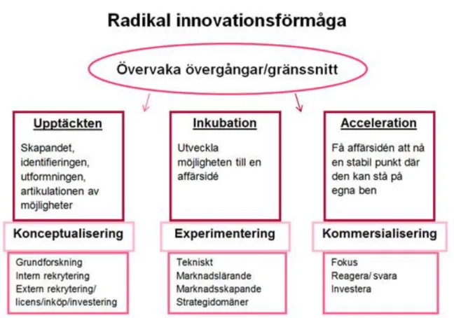 Figur 4 Indelningen av radikal innovationskapacitet i tre delar. 