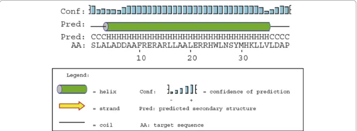 Figure 5 Secondary structure prediction for TIP39. Prediction of the secondary structure of tuberoinfundibular peptide of 39 residues by PSIPRED.