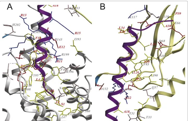 Figure 3 Close-up of the binding region between PTH2R and the tuberoinfundibular peptide of 39 residues
