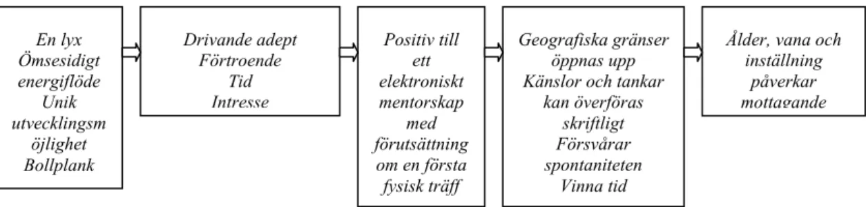 Figur 7. Sammanfattning av mentorernas synpunkter. 