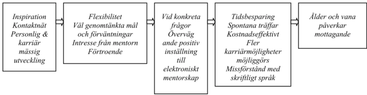 Figur 8. Sammanfattning av adepternas synpunkter. 