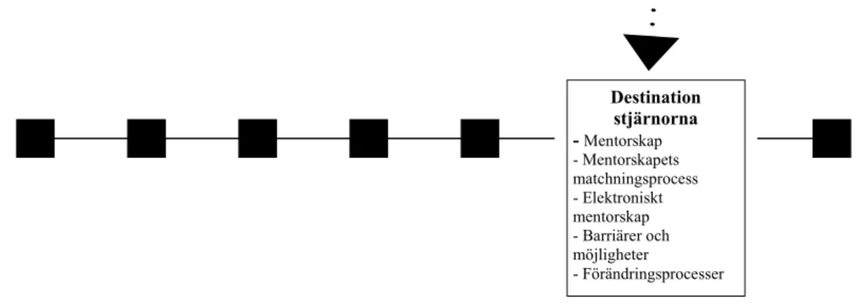 Figur 9. Teoretisk referensram, mentorskap. 