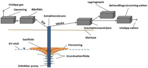 Figur 10. Illustration av multifasextraktion (Harms-Ringdahl, 2015c). Med tillstånd.   