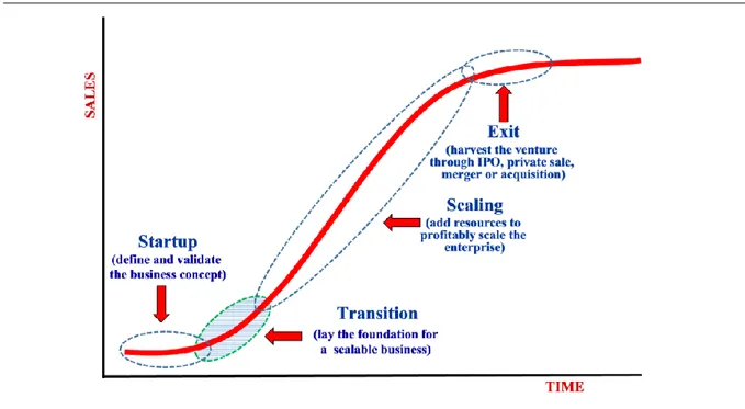 Figur 1. Startuporganisationens livscykel. Hämtad från Picken (2017) s. 588  