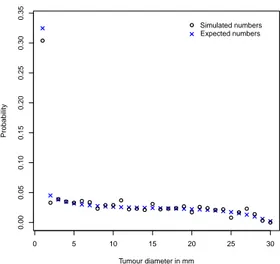 Figure 15: Longitudinal distribution of tu- tu-mour size 2 years ago, given current size of 31-32 mm