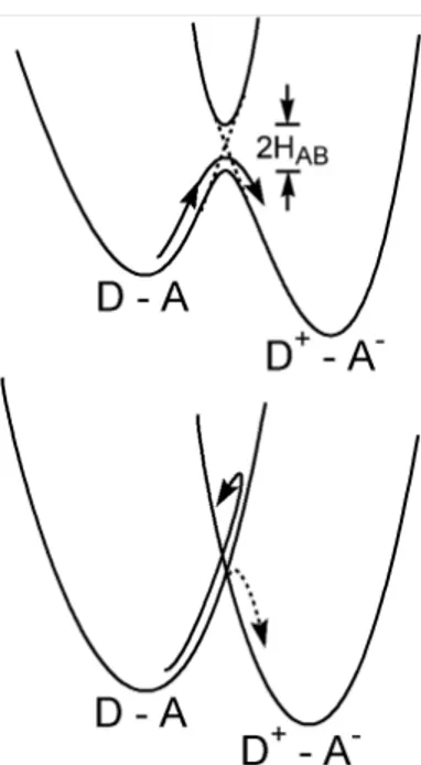 Figure 2.3. Adiabatic (upper) and non-adiabatic (lower) electron transfer. H AB  is the electronic coupling energy.