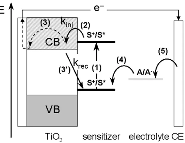 Figure 3.5. An energy diagram showing the different electron transfer reactions occurring in a dye-sensitized solar cell