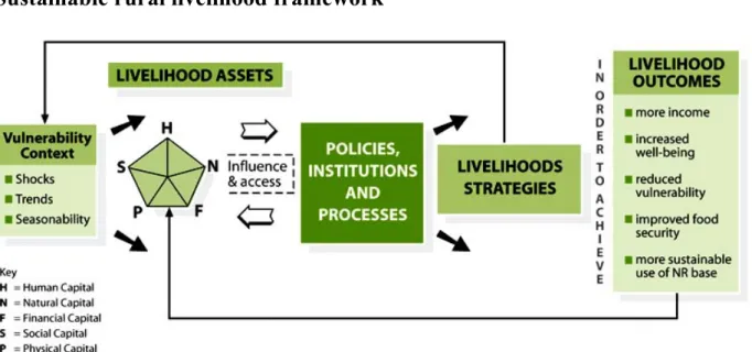 Figure 3.1 Sustainable rural livelihood framework (DFID, 1999). 19