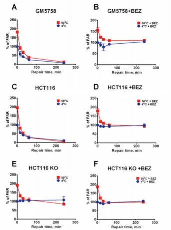 Figure 13. Deficiency in DSB repair does not affect the repair of HSCS. Repair kinet- kinet-ics of DSB and HSCS repair in NVP-BEZ235 untreated GM5758, HCT116 and HCT116 DNA-PKcs KO cells (A, C, E)  and NVP-BEZ235 treated cells (B, D, F)