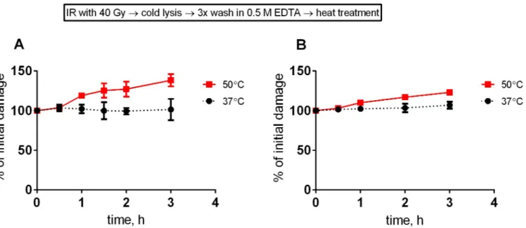 Fig 4. HSCS are not converted into DSB in naked chromosomal DNA at physiological temperature
