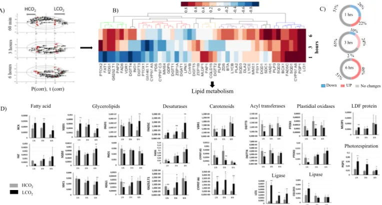 Fig. 5. Impact of limiting CO 2 conditions on expression of C. reinhardtii lipid metabolism related genes – A) HeatMap based on P(corr) from the OPLS-DA Bi-plots of 49 genes under high and low CO 2 at 1, 3 and 6 h; B) percentage of genes that were up-regul