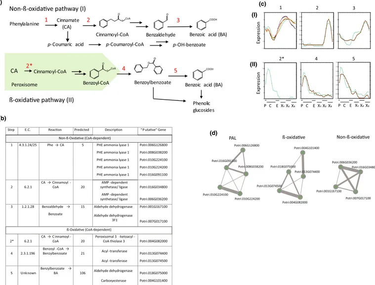 Fig. 6 Tradeoff expression of genes involved in defense and lignification in aspen wood forming zones