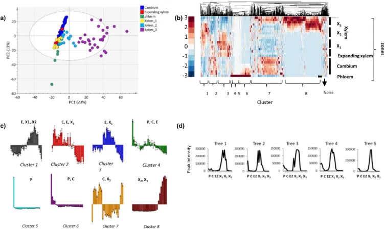 Fig. 1 Metabolite profiling by liquid chromatography quadrupole time-of-flight mass spectrometry (LC-QTOF-MS) of wood forming zones in five 47-yr- 47-yr-old aspen trees