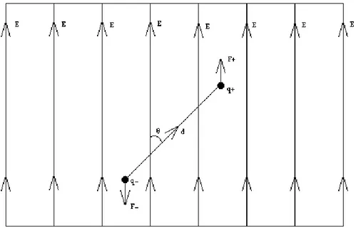 Figure 2: Illustrating the behaviour of an ideal simple dipole in an electric field. The force   F on the charges q will give rise to a torque