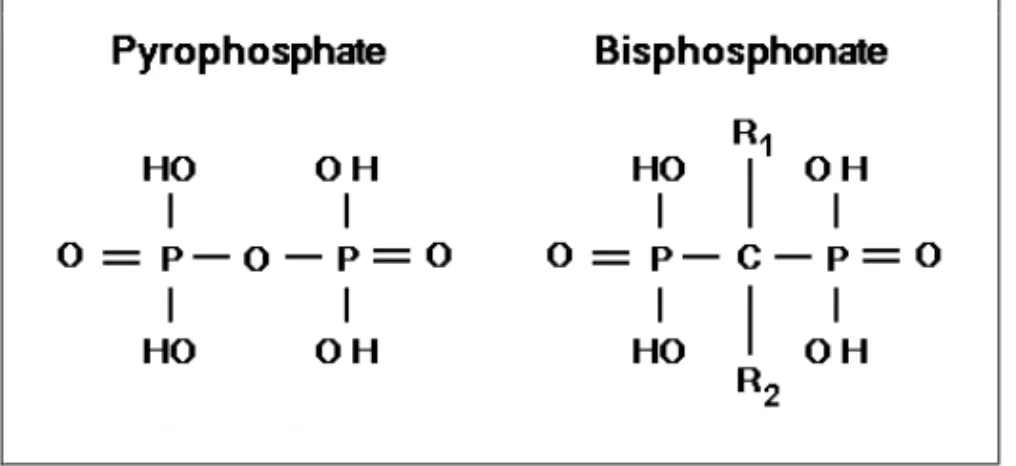 Figure  2.  The  chemical  structure  of  pyrophosphate  and  bisphosphonate.  R1  and  R2  signify  the  side  chains  of  bisphosphonate