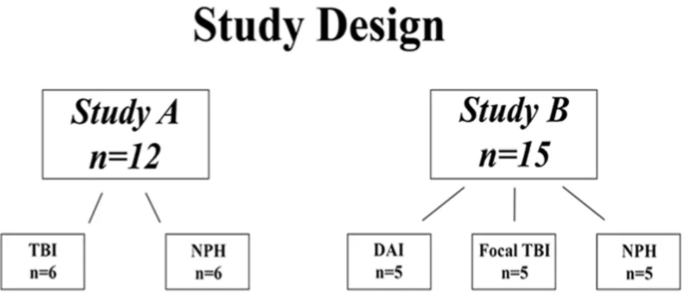 Figure 6. Study design in paper III. 