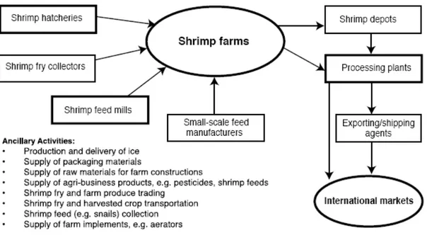 Diagram 1: Schematic Diagram of Bangladesh’s Shrimp Industry, showing sectoral  linkage (Hamid &amp; Alauddin,2002)