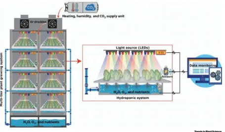 Figure 1. Structure of the new IVF systems [6]. 