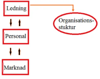 Figur 4: Sammanlänkande strukturmodell av marknadsdriven organisation  3.5.1.  Organisationen 
